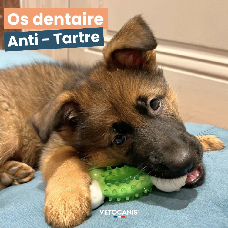 Os dentaire chien taille S pour petits chiens
