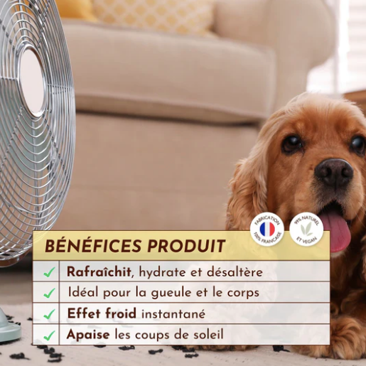 brume rafraichissante pour chiens 
