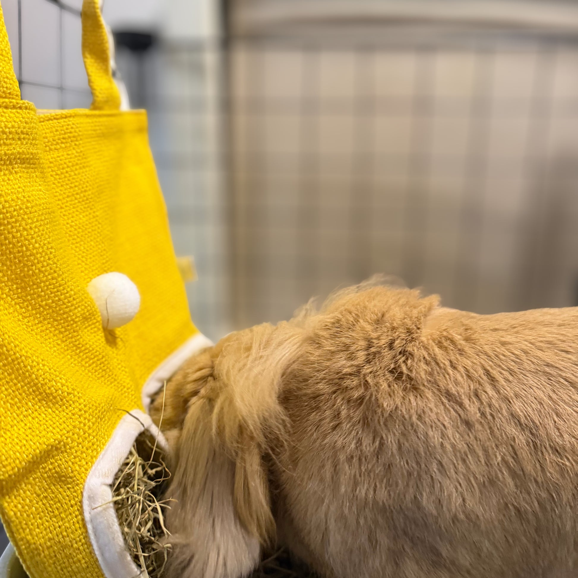Sac à foin lapin toile résistante facile à remplir
