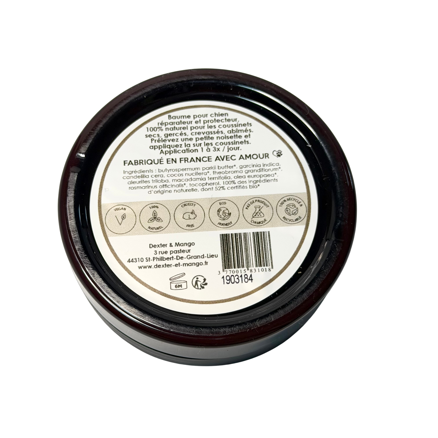 Soin coussinets chien baume protecteur hiver et été
