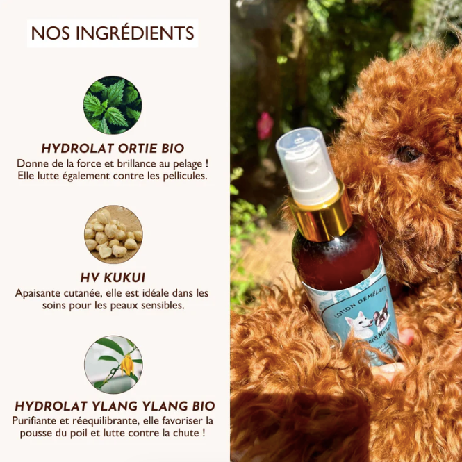 Spray démêlant pour chien et chat soin du pelage
