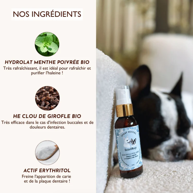 Spray dentaire pour chien haleine fraîche anti-tartre
