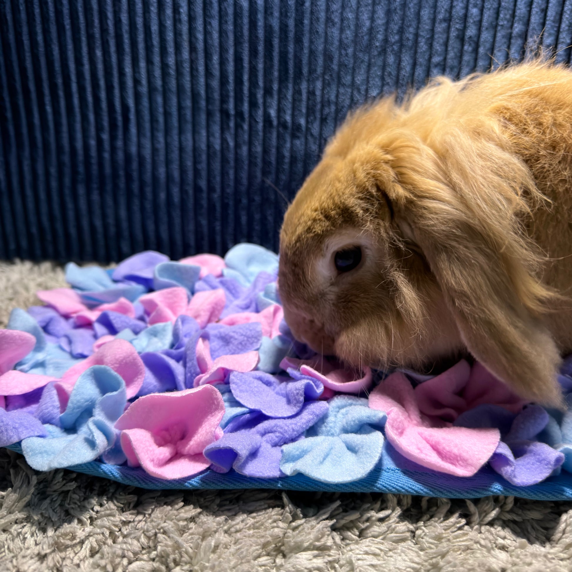 Tapis de fouille lapin stimulation mentale et jeu enrichissement
