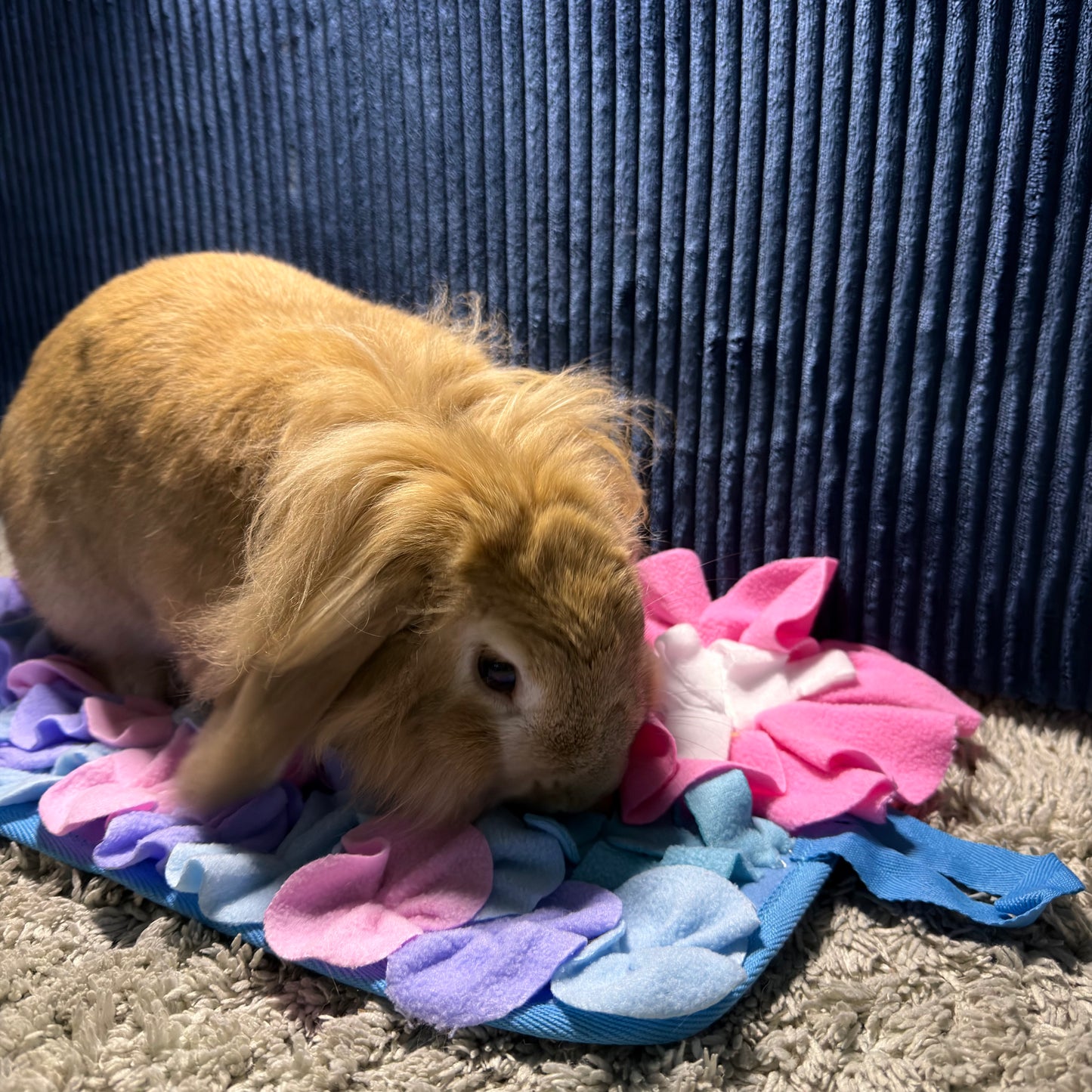 Tapis de fouille lapin détail texture et cachettes multiples
