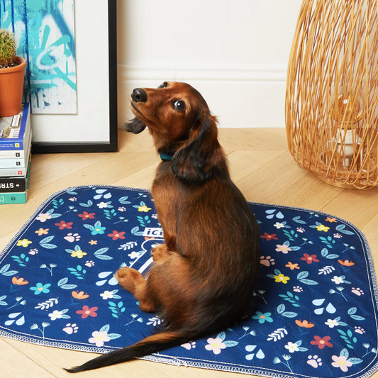 Tapis éducation propreté pour chiot absorbant et lavable
