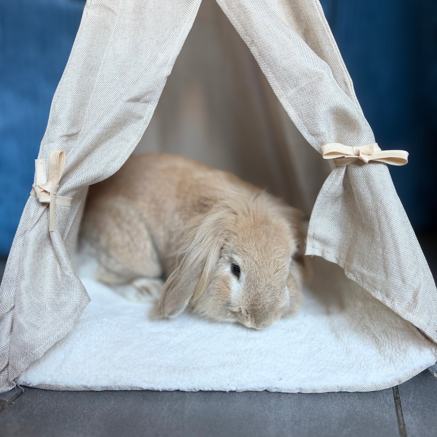 Tente tipi lapin beige accessoire cage décoration naturelle