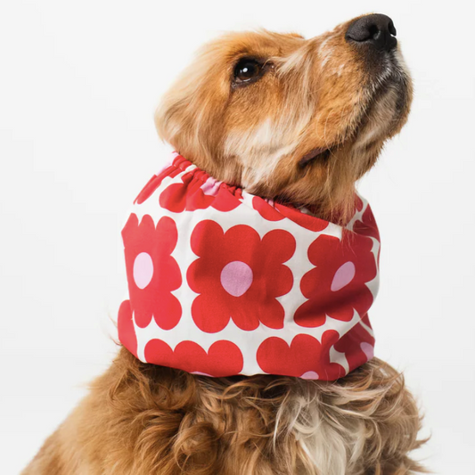 Tour de cou chien fleurs rétro stylé et protecteur