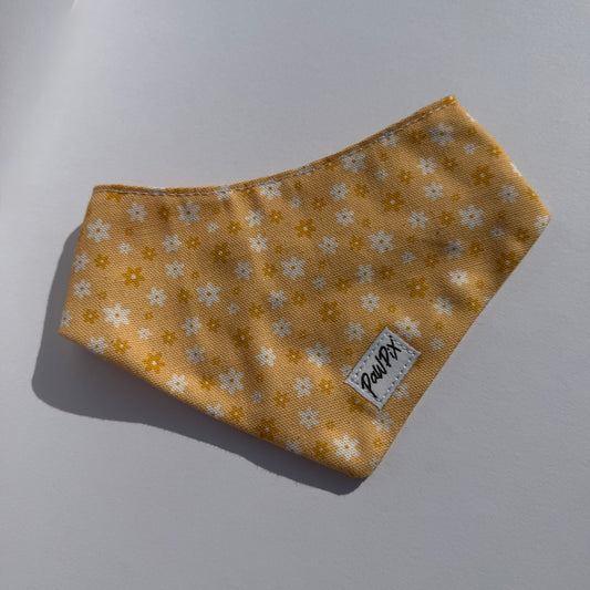 Pour des balades stylés avec votre Poilu