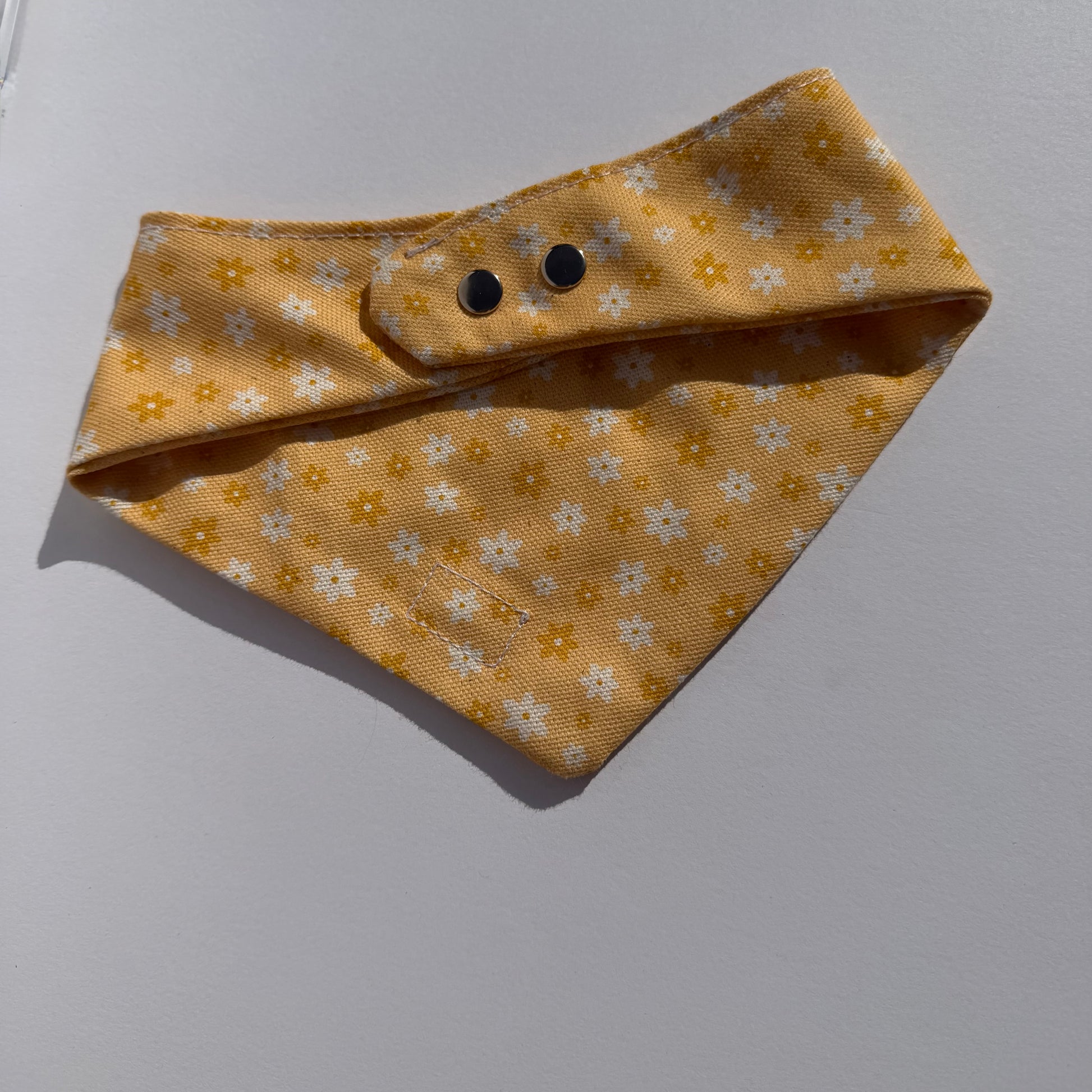 Pour des balades stylés avec votre Poilu