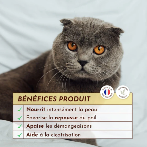 Baume chats pour cicatrisation