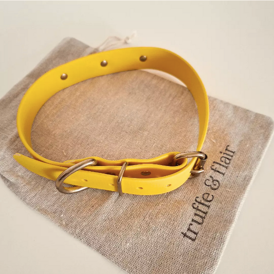 Biothane jaune, idéal pour tous les poilus