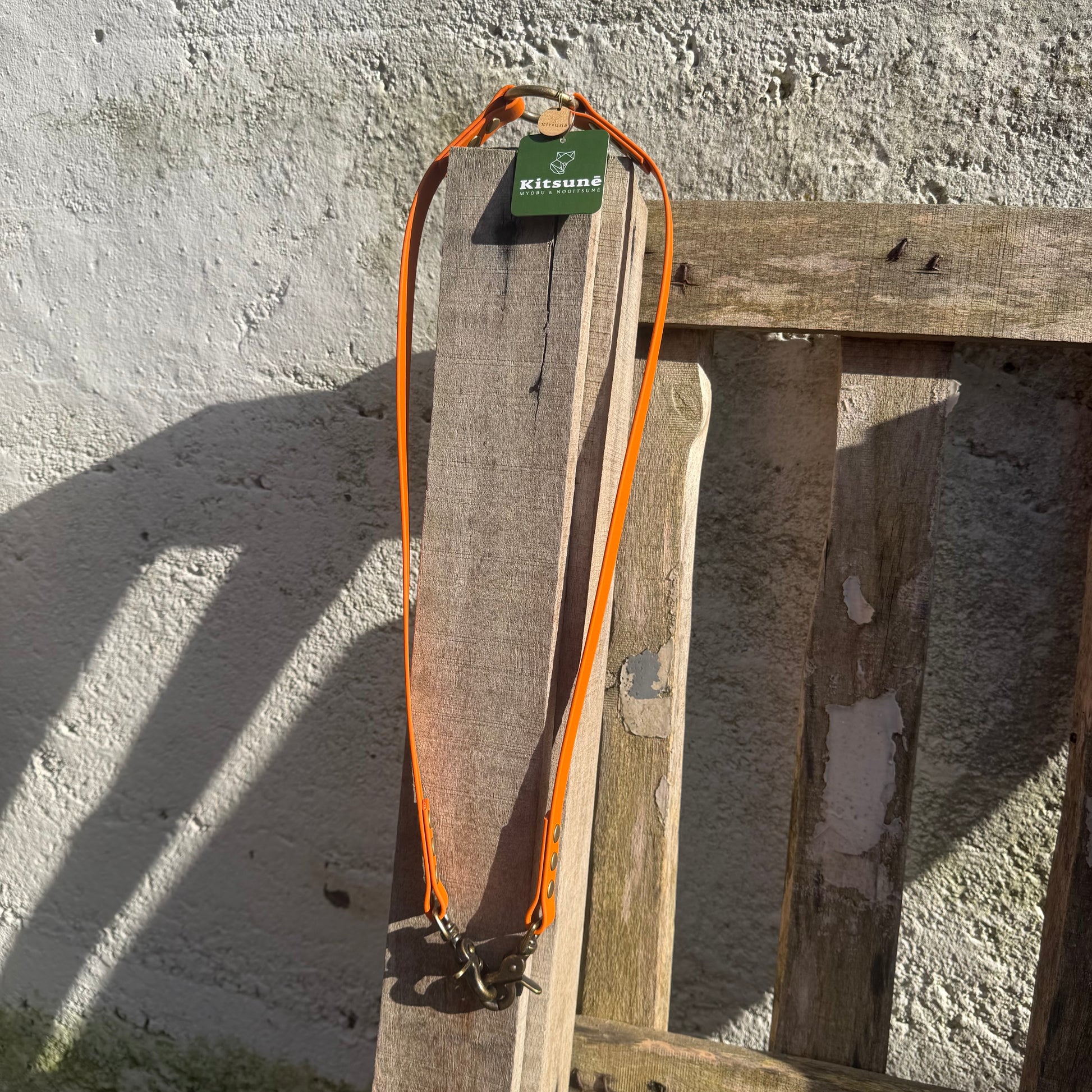afin de balader deux poilus à la fois 