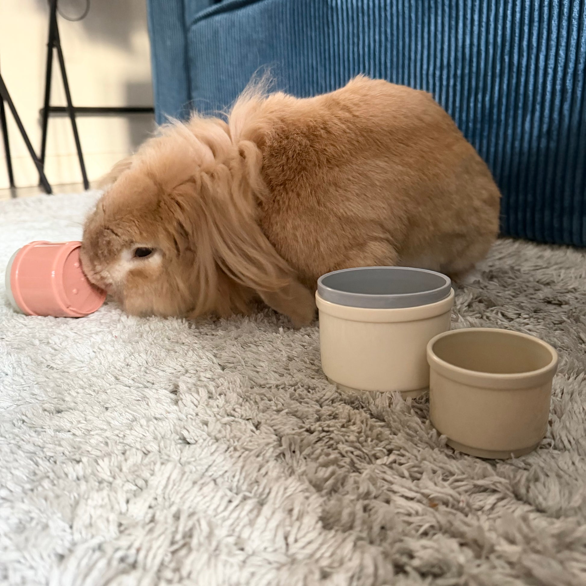 Tasses empilables lapin jeu d'éveil et manipulation