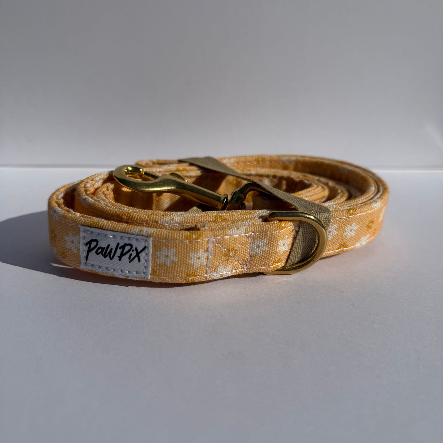 Pour des balades stylés avec votre Poilu