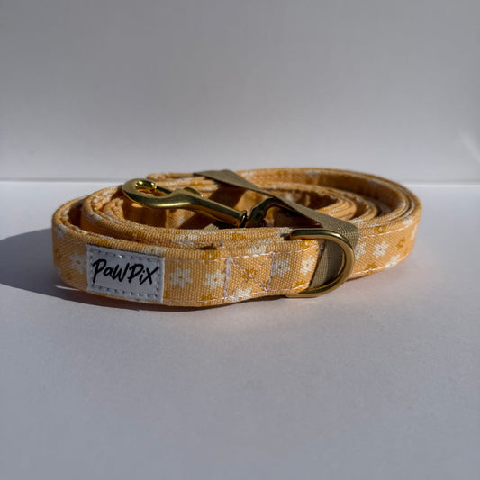 Pour des balades stylés avec votre Poilu