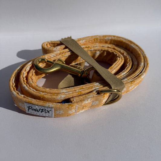 Pour des balades stylés avec votre Poilu