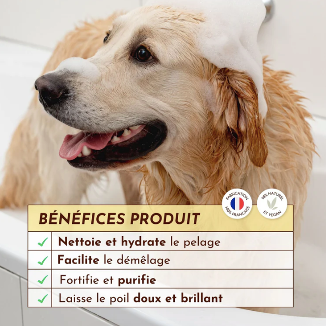 shampoing facilite le démêlage pour chiens 