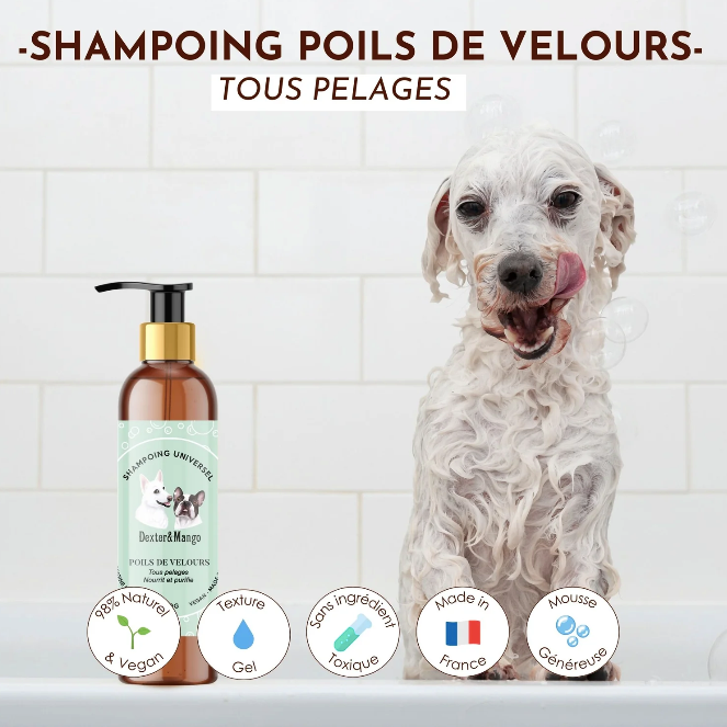 Shampoing poils de velours pour chiens